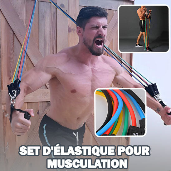 Set d'élastiques pour musculation - 5 niveaux différent allant jusqu'à 150lbs